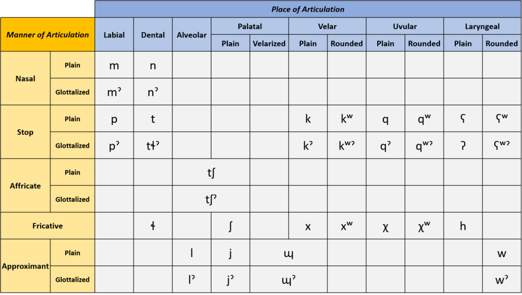 Shows the consonants used in the Secwepemc language, organized by the location of the vocal tract where they are articulated, and the manner in which they are articulated.